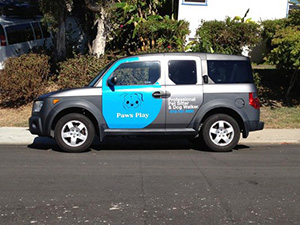 Vehicle Graphics